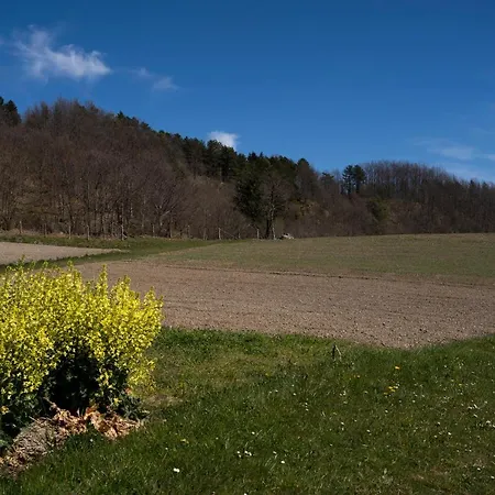 027-28 - Il Boschetto Con Piscina, Pace E Natura Alloggio per agriturismo *