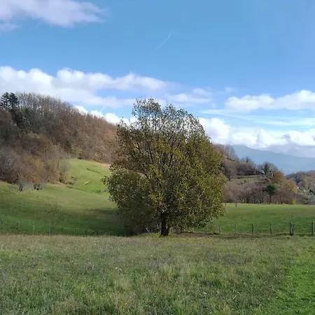 027-28 - Il Boschetto Con Piscina, Pace E Natura Alloggio per agriturismo