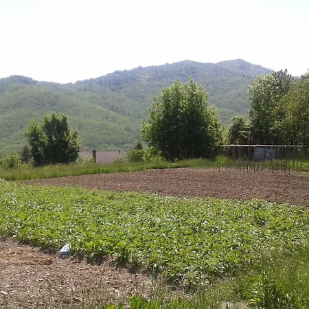 027-28 - Il Boschetto Con Piscina, Pace E Natura Alloggio per agriturismo *